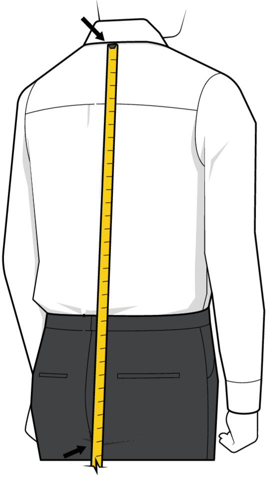 Longueur de la chemise