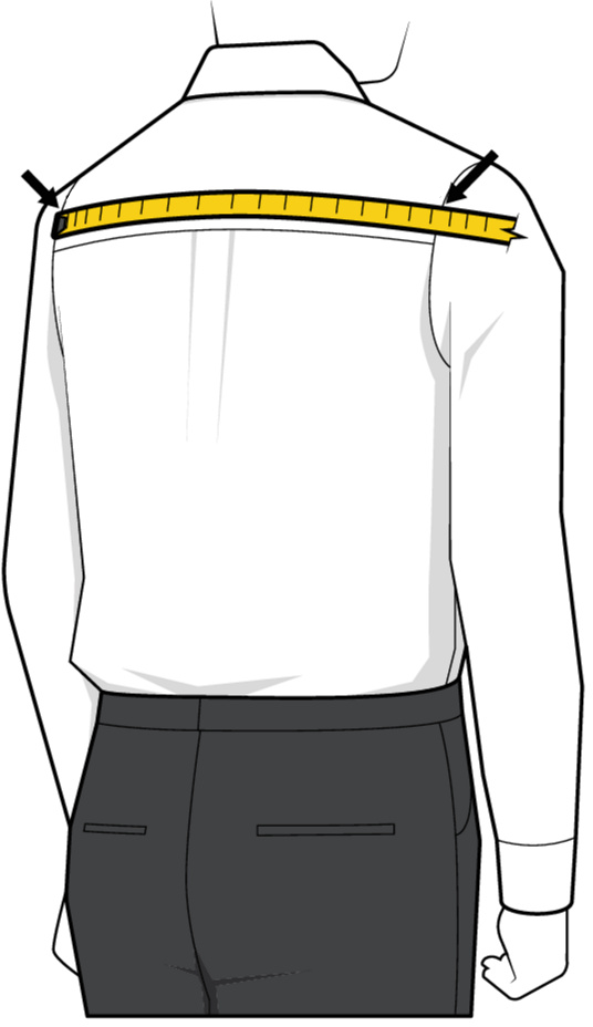 Largeur des épaules